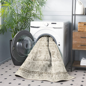 Timeless Elegance Neutral Rug - MV 815