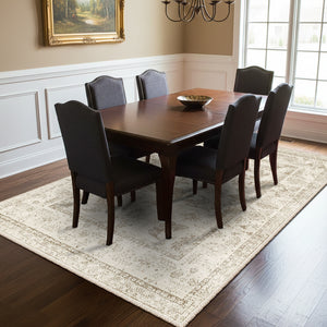 Timeless Elegance Neutral Rug - MV 815